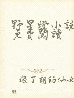 野星灯小说全文免费阅读