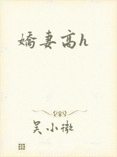娇妻高h封面