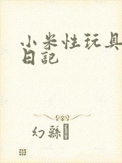 小米性玩具羞辱日记封面