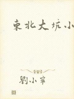 东北大坑小说