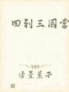 回到三国当军阀封面