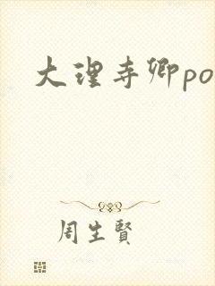 大理寺卿po封面