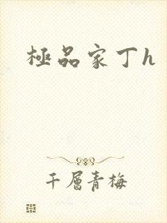 极品家丁h封面