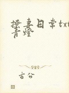 撩妻日常txt青灯