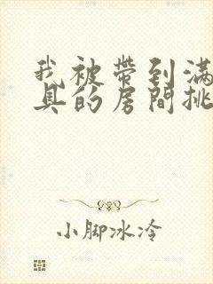 我被带到满是玩具的房间挑调作文