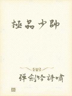 极品少帅