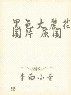 黑色大丽花真实图片 原图