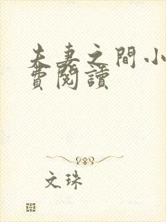 夫妻之间小说免费阅读