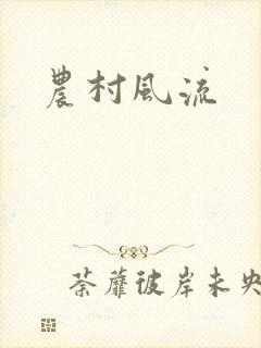 农村风流封面