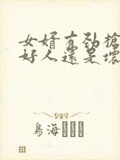 女婿有劲枪枪是好人还是坏人