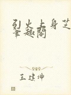 引火上身芝麻糖笔趣阁