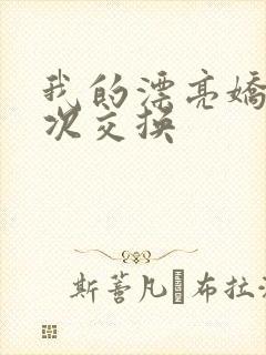 我的漂亮娇妻初次交换