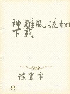 神雕风流txt下载