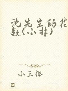 沈先生的花式调数(小非)