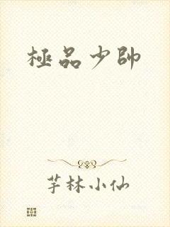 极品少帅