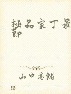 极品家丁最新章节封面