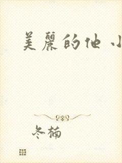 美丽的他 小说封面