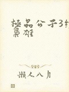 极品公子3续世枭雄