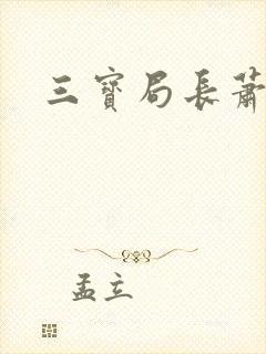 三宝局长萧燕封面