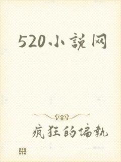 520小说网