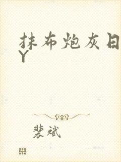 抹布炮灰日记BY