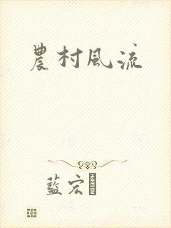 农村风流