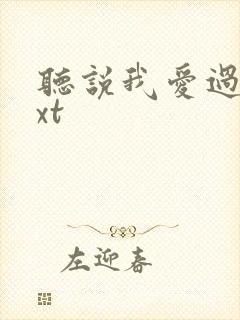 听说我爱过你txt
