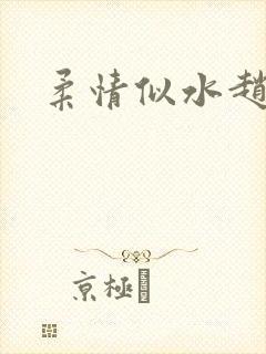 柔情似水赵雅儿