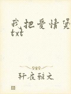 我把爱情煲成汤txt