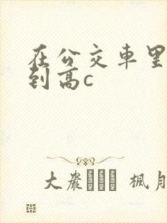 在公交车里c弄到高c
