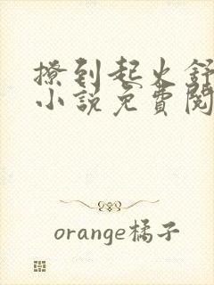 撩到起火舒漾的小说免费阅读全文封面
