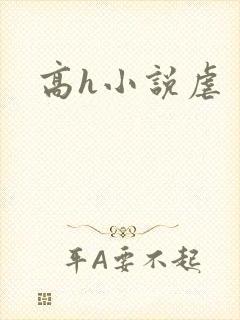 高h小说虐