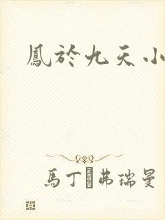 凤于九天小说