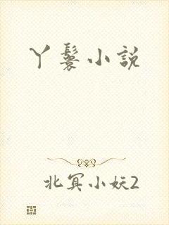 丫鬟小说