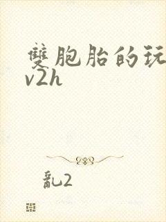 双胞胎的玩具1v2h