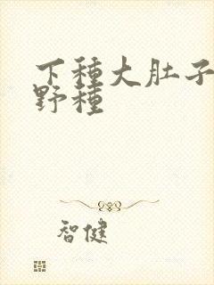 下种大肚子怀孕野种