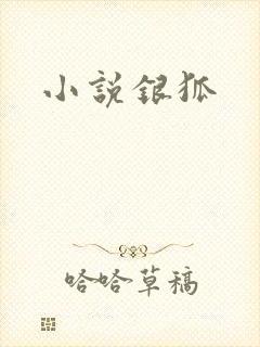 小说银狐
