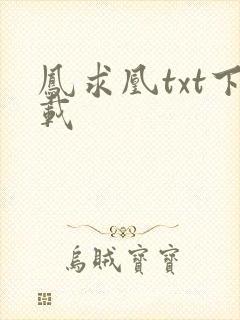 凤求凰txt下载封面