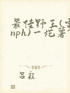 最佳野王(电竞nph)一坨薯饼