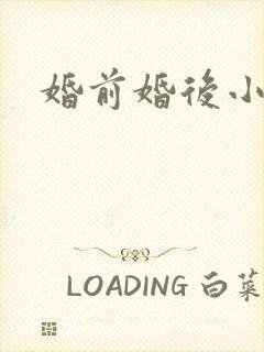 婚前婚后小说