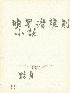 明星潜规则之皇 小说封面