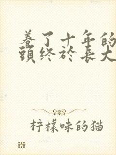 养了十年的小丫头终于长大了