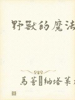 野兽的魔法师