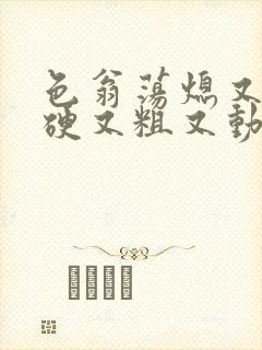 色翁荡熄又大又硬又粗又动态图