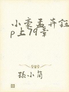 小豪孟卉钰慧三p上79章