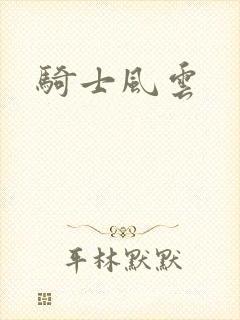 骑士风云封面