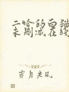 二哈的白猫师尊未删减在线阅读免费封面