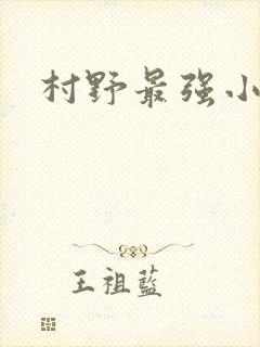 村野最强小农民