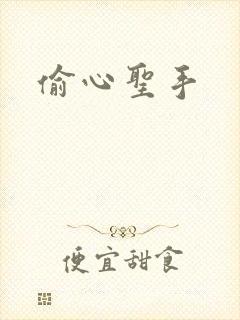 偷心圣手