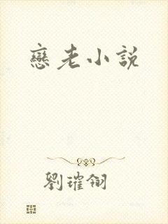 恋老小说